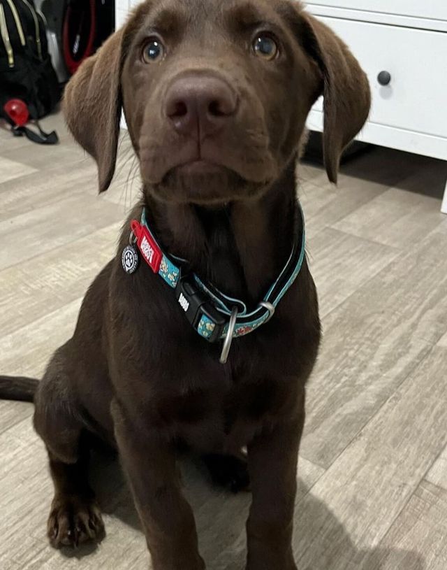 SMART ID ΠΕΡΙΛΑΙΜΙΟ POP CORN - Image 3